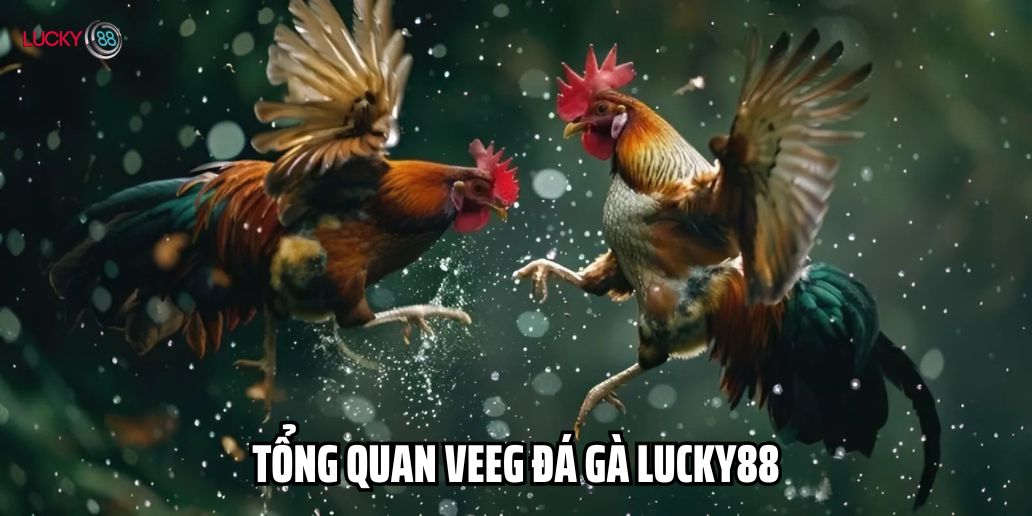 Cách Tham Gia Đá Gà Lucky88 Và Kinh Nghiệm Chiến Thắng